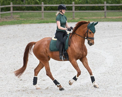 QHP Astana Crystal Dressage Pad