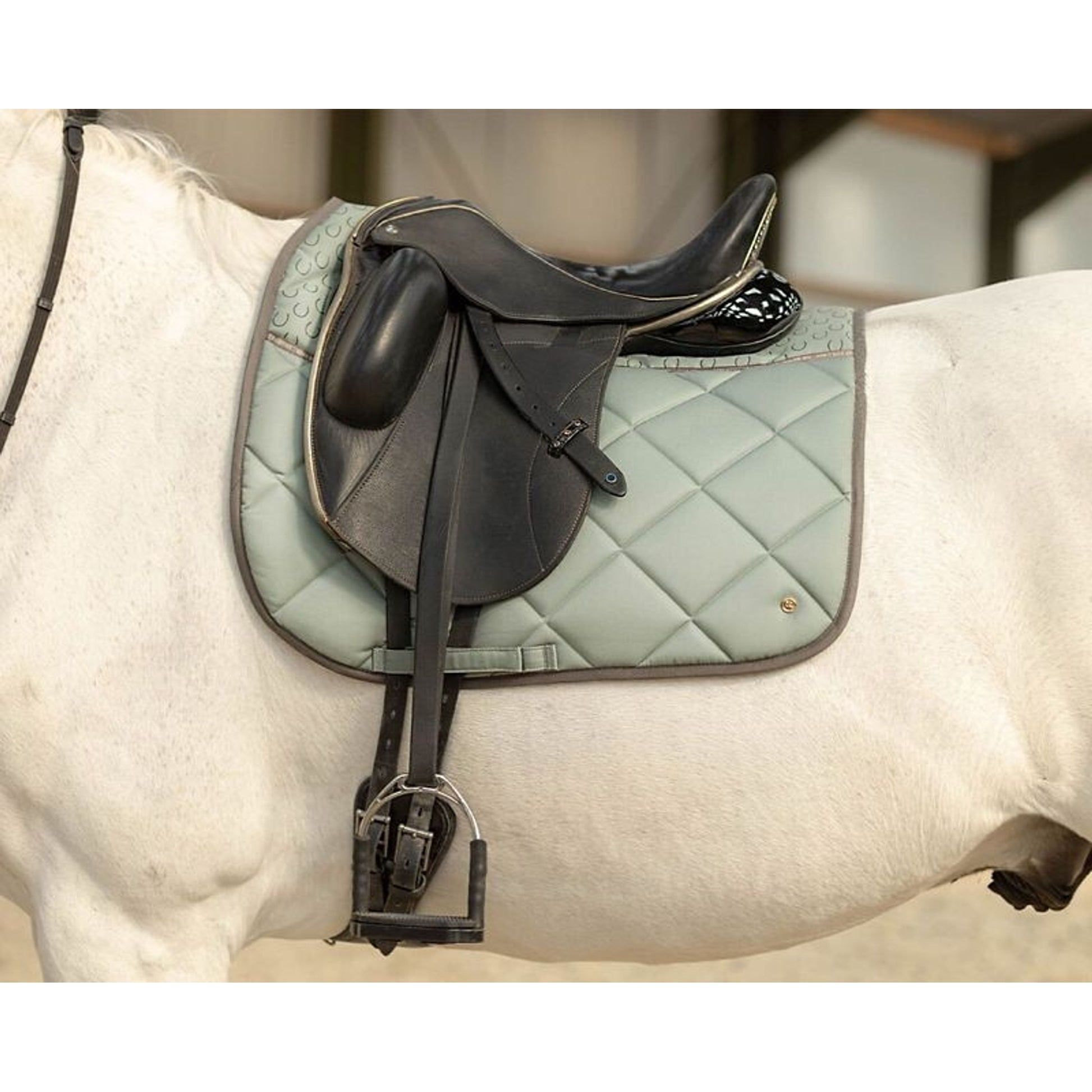 QHP Equestrian Dream Dressage Pad