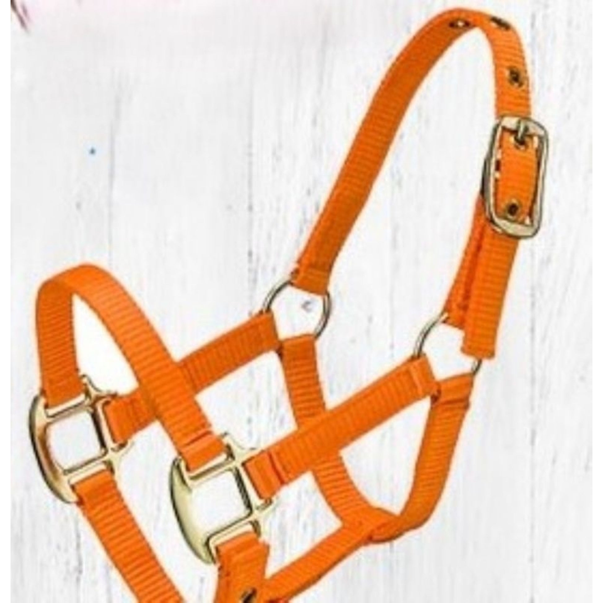 Ozark Mini Engraved Neon Halter with Lead