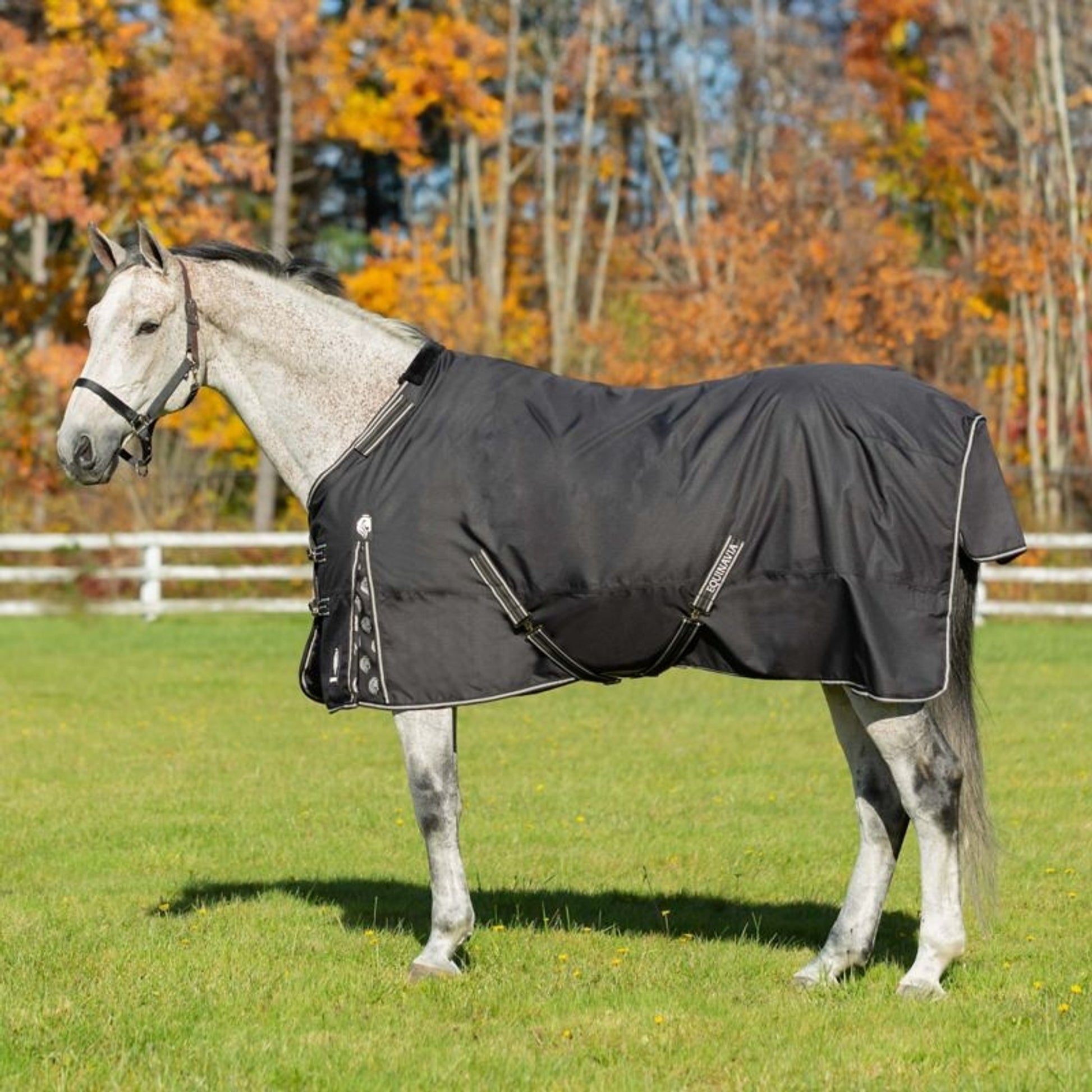 Equinavia Norse MidWeight TO Blanket 200g