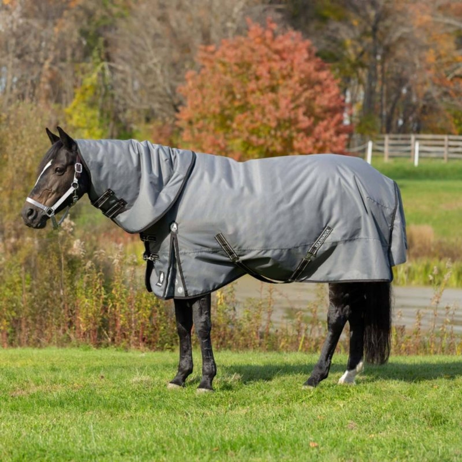 Equinavia Arktis TO Blanket 100g