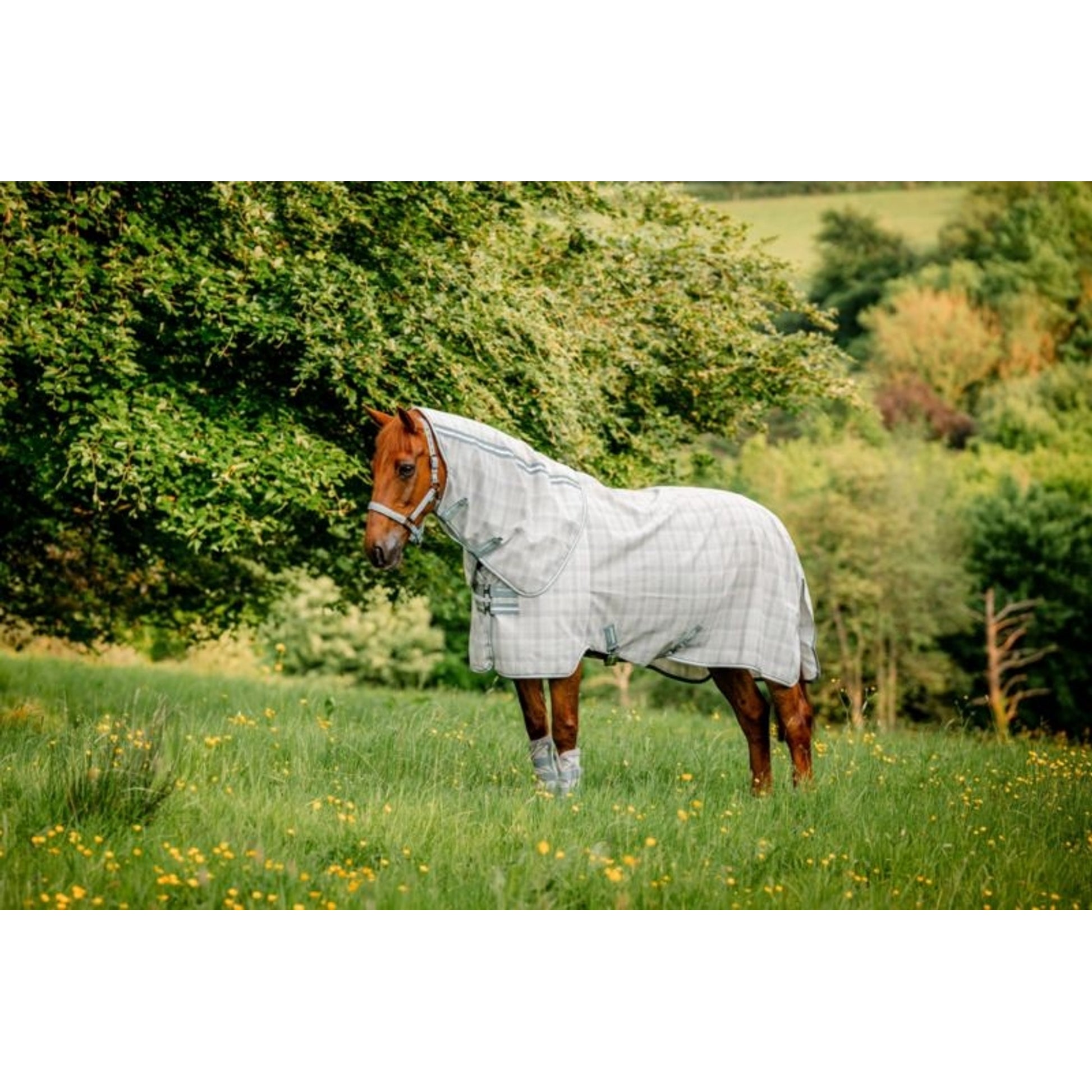 Horseware Newmarket Plus Fly Sheet
