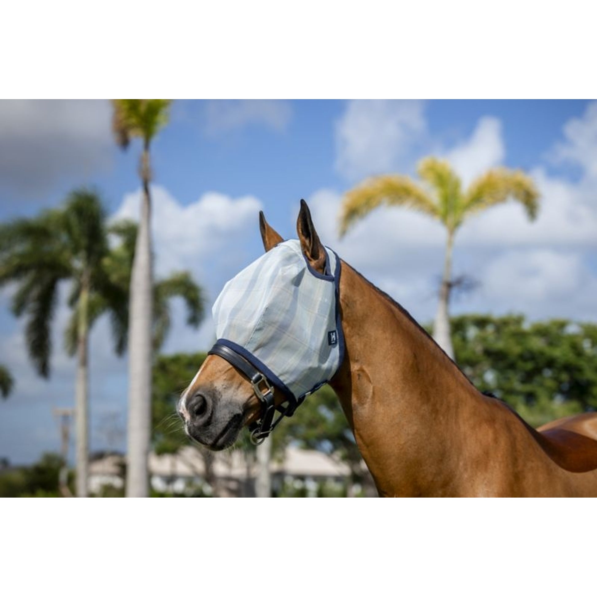 Horseware Newmarket Fly Mask