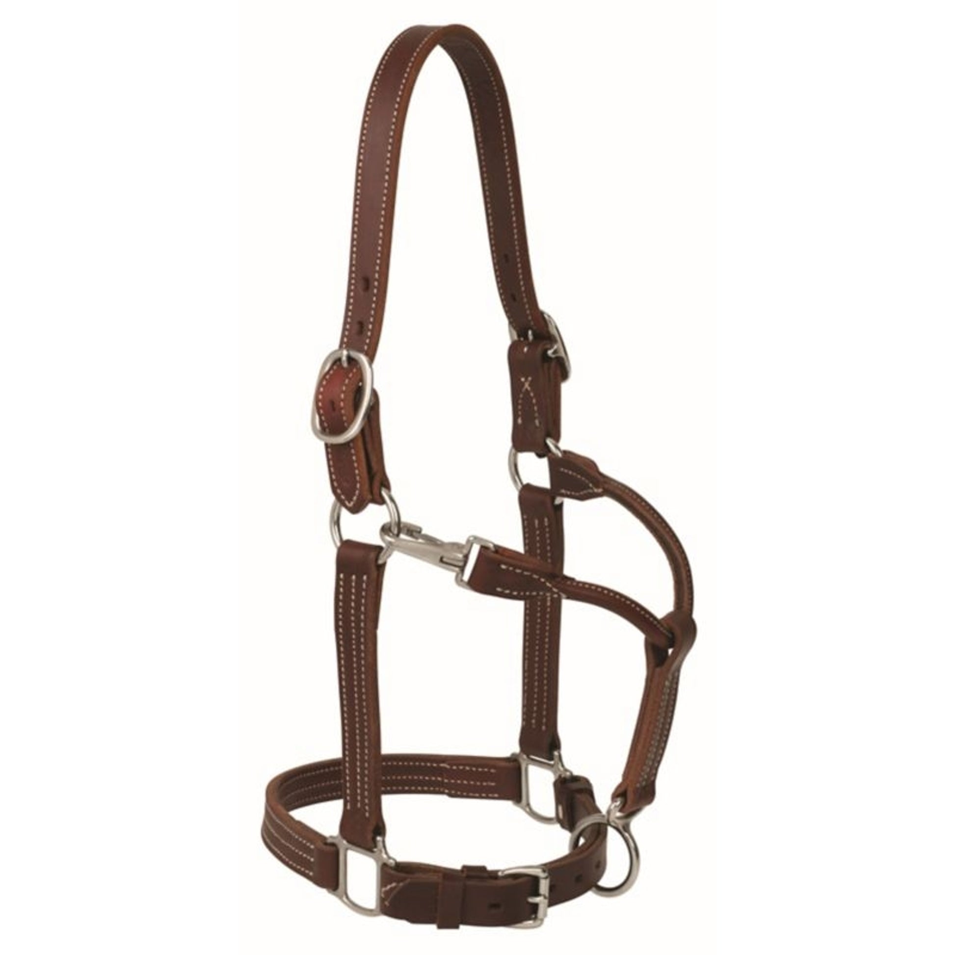 Weaver Ranch Horse Halter