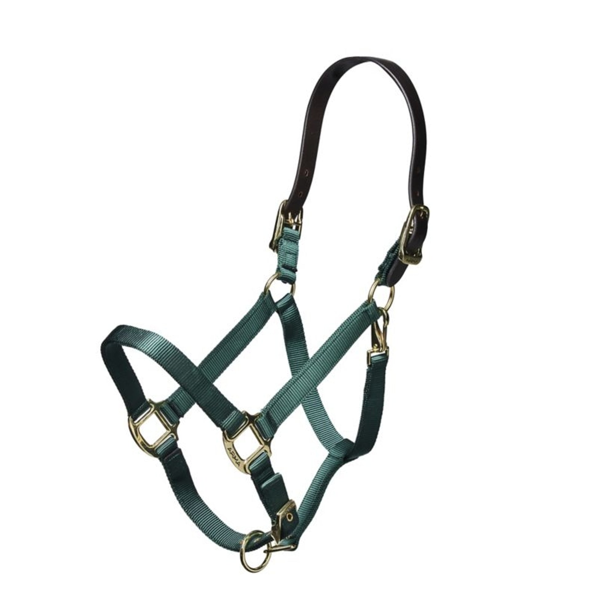 ARMA Nylon Halter Leather Hd Strap