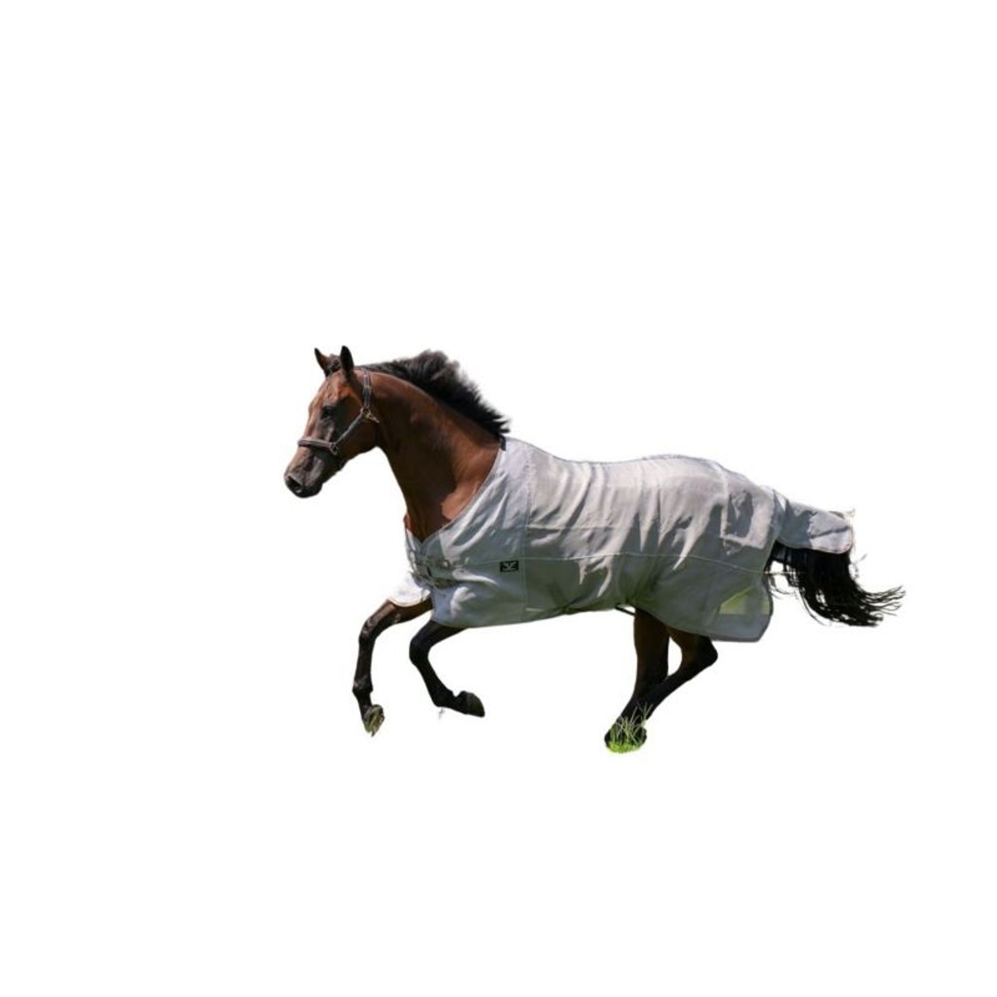 TuffRider NevaTear Tech Std Nk Fly Sheet