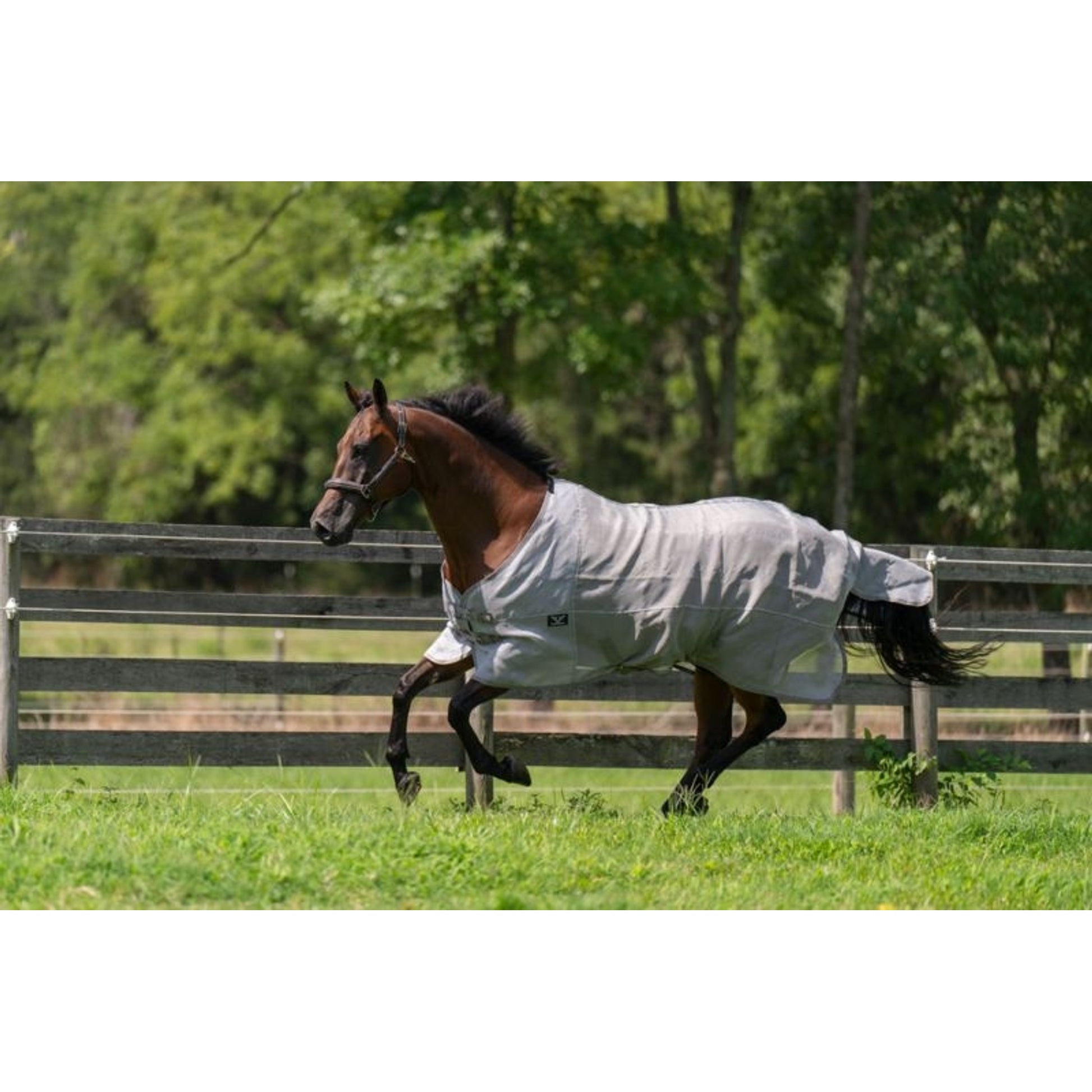 TuffRider NevaTear Tech Std Nk Fly Sheet