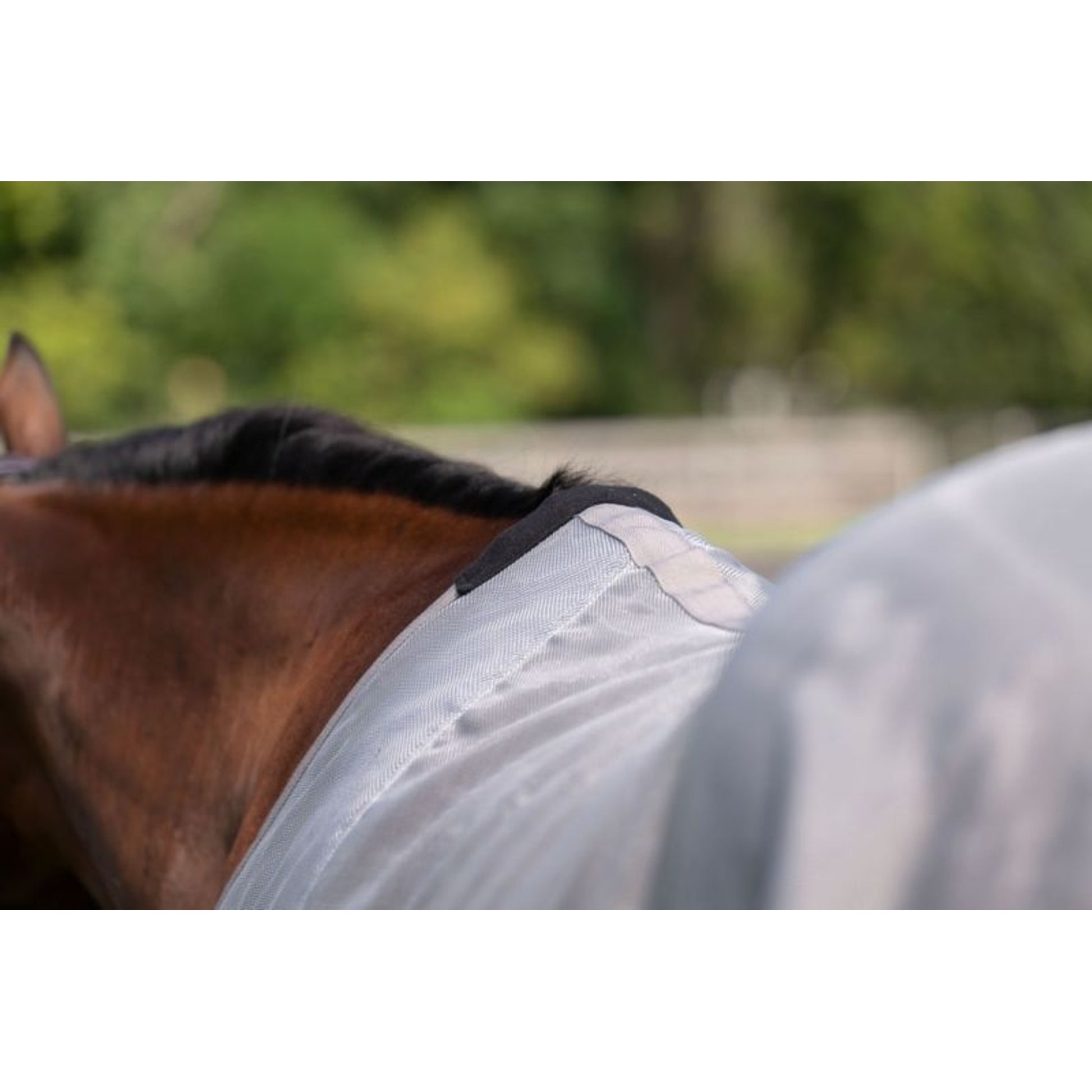 TuffRider NevaTear Tech Std Nk Fly Sheet