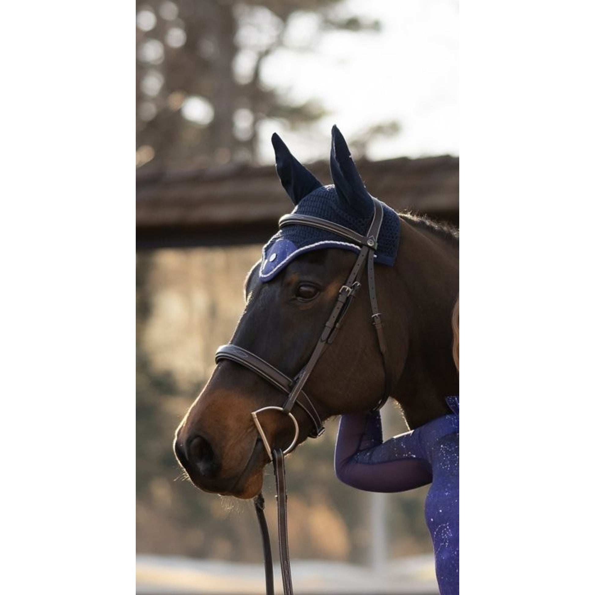 Dapplebay Constellation Fly Veil
