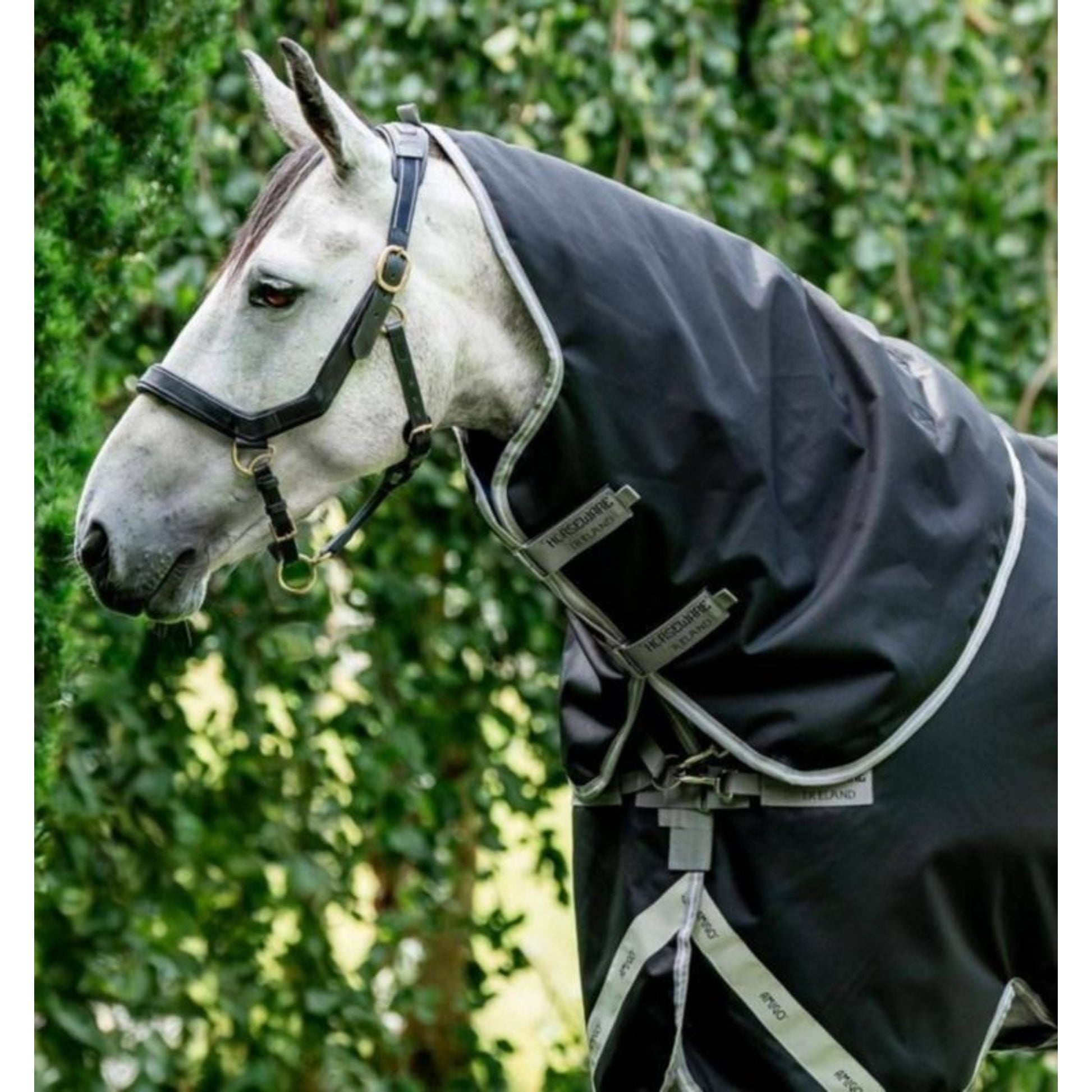 Amigo 1200D XL Turnout Hood 0g