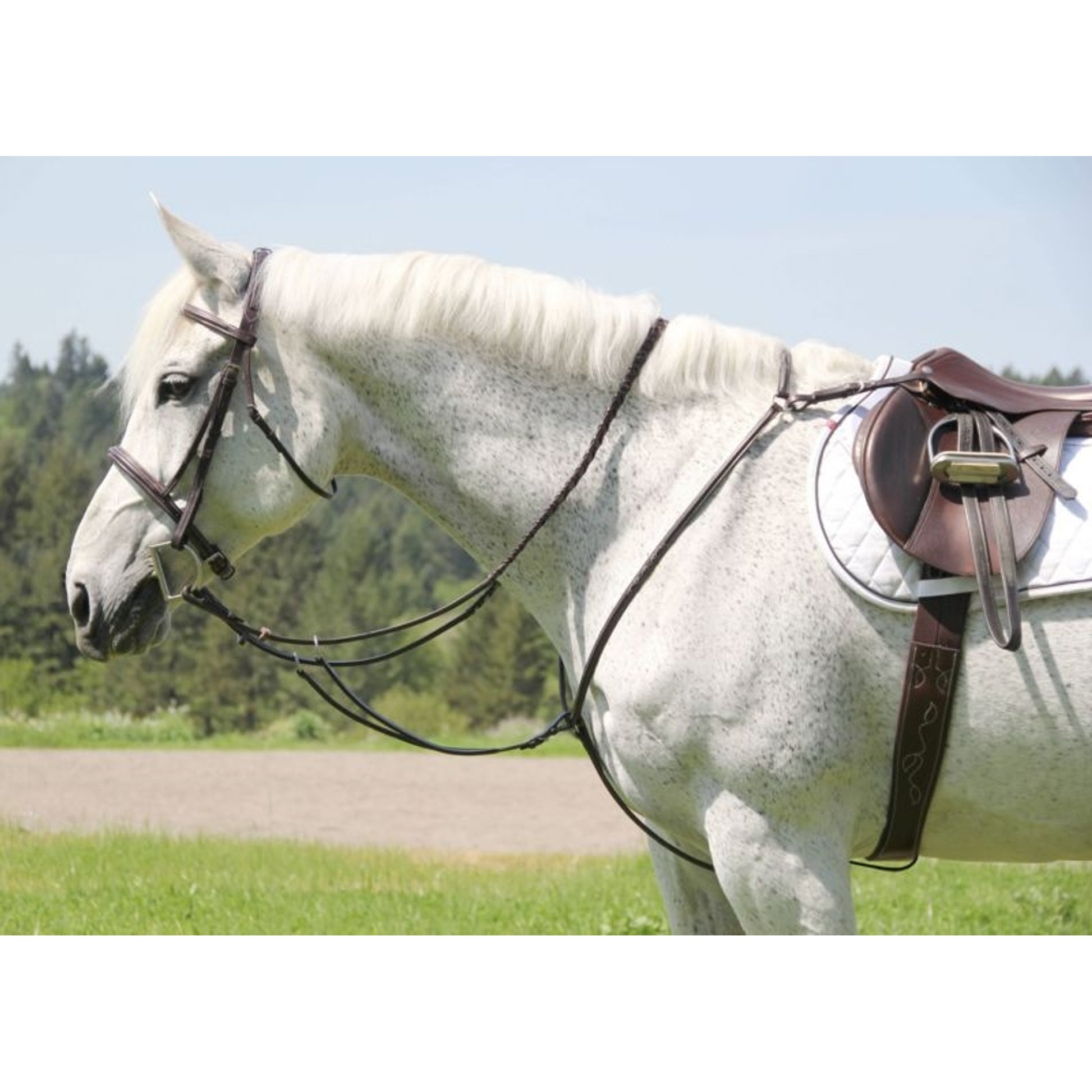 Silverleaf Sq Breastplate With Running