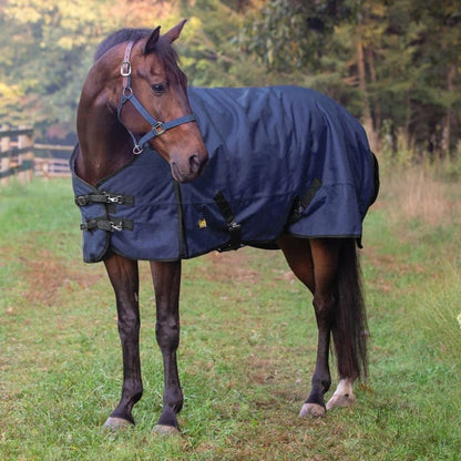 Gatsby 600D WP Ripstop T/0 HW Blanket