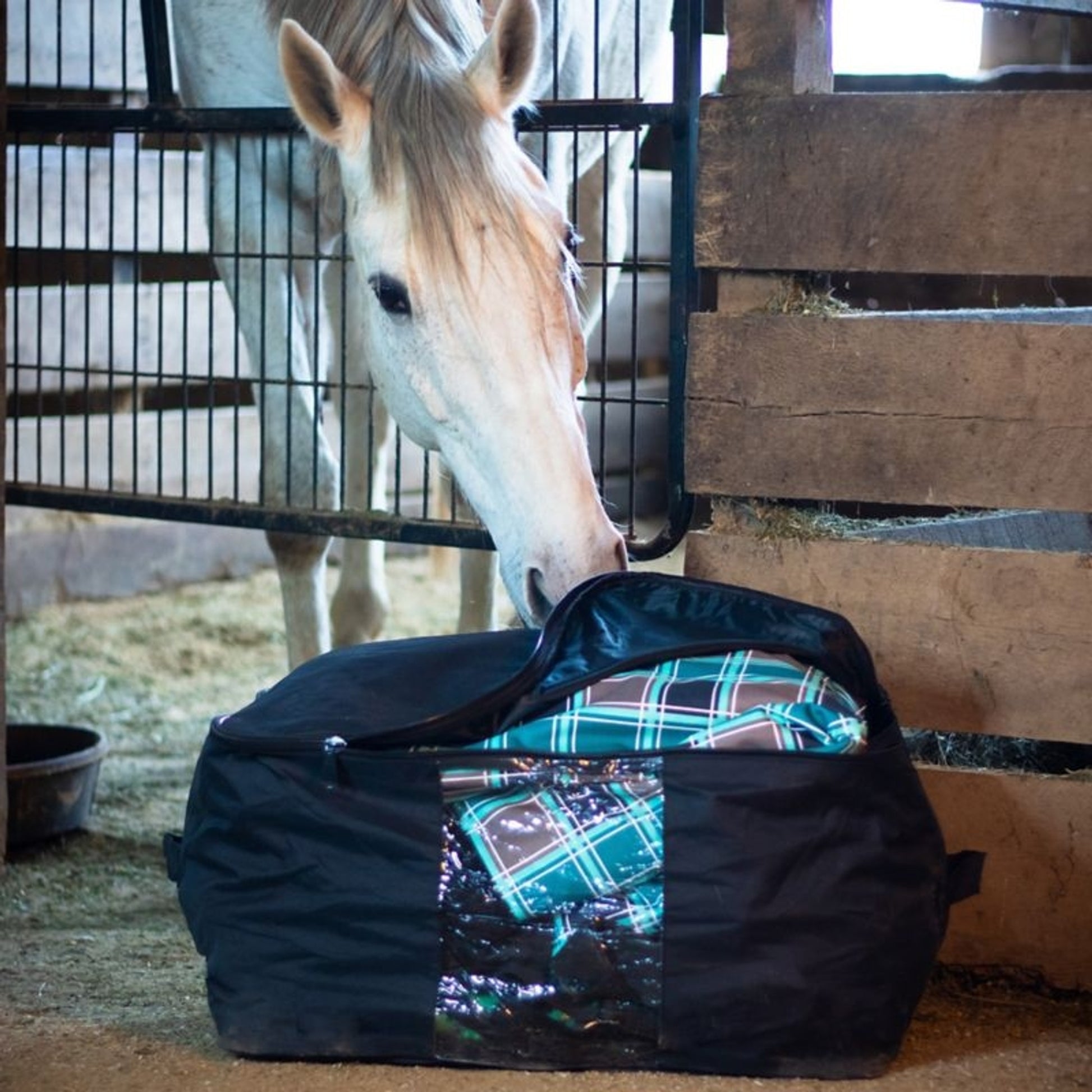 Gatsby Nylon Large Clear Panel Storage Bag