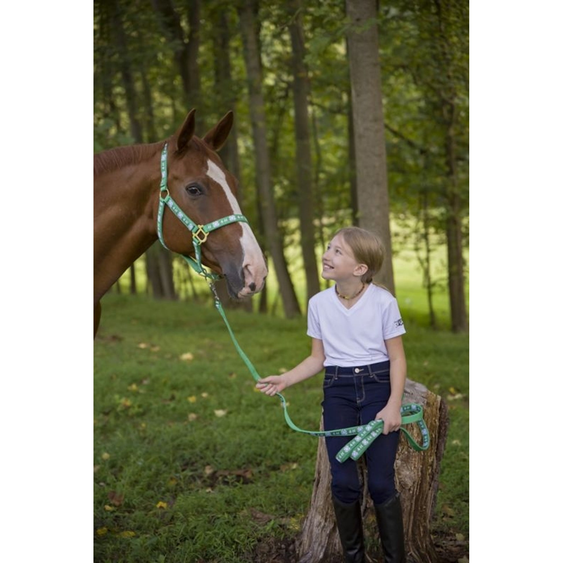 4-H Nylon Lead with Snap