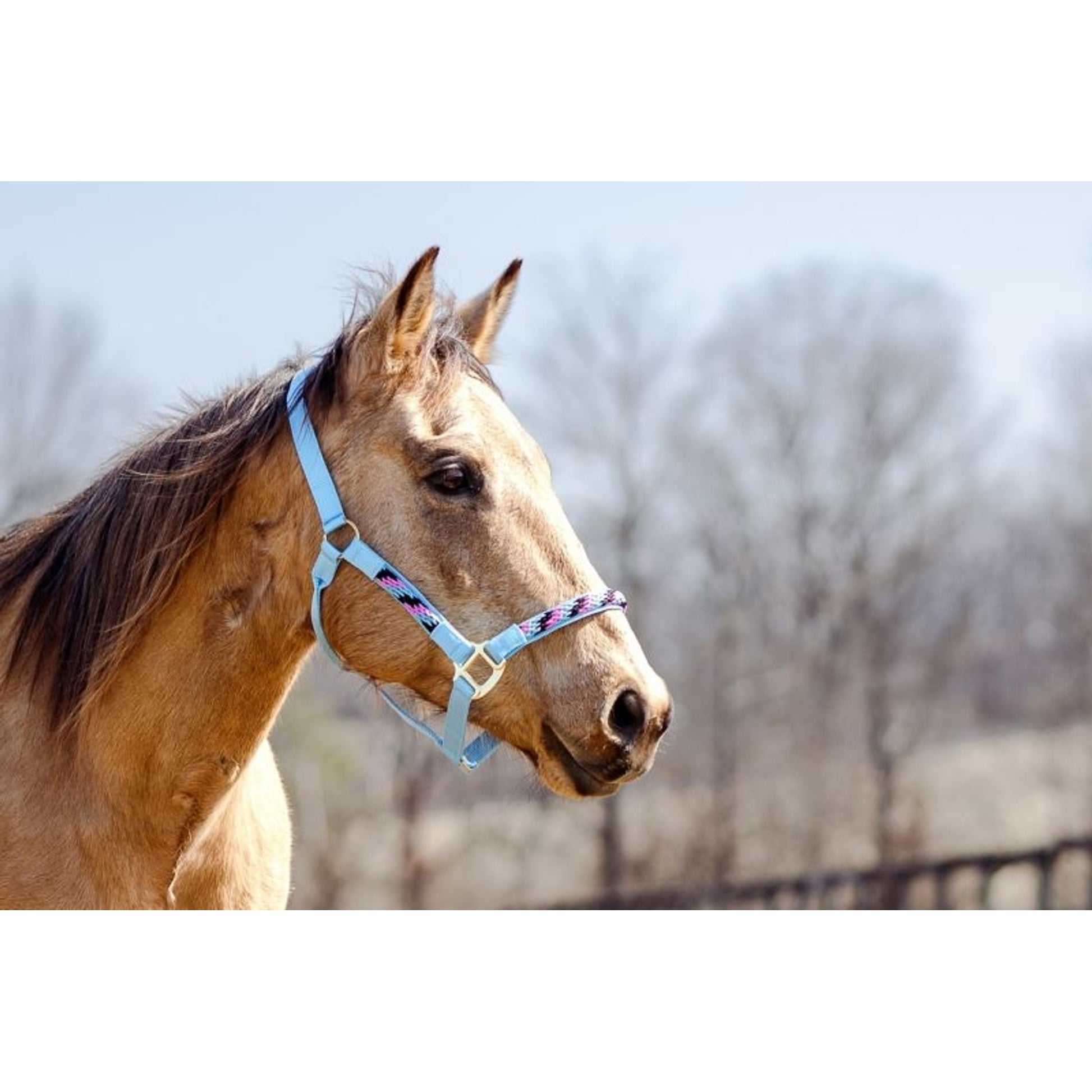 Tabelo Rope Trim Halter