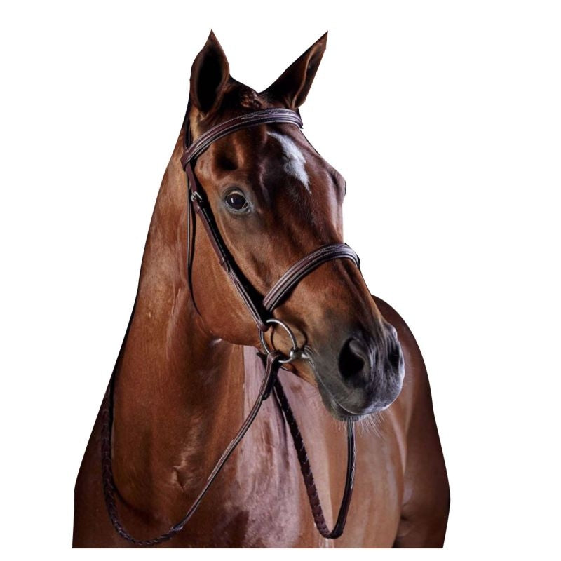 Collegiate CC Fancy Raised Cavesson