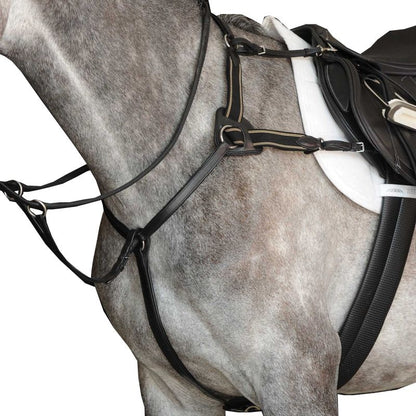 Collegiate 5 Point Breastplate