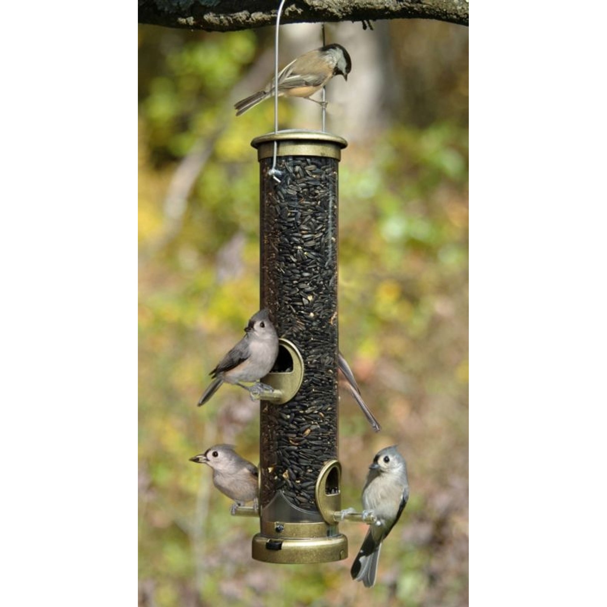 Medium Seed Tube Bird Feeder