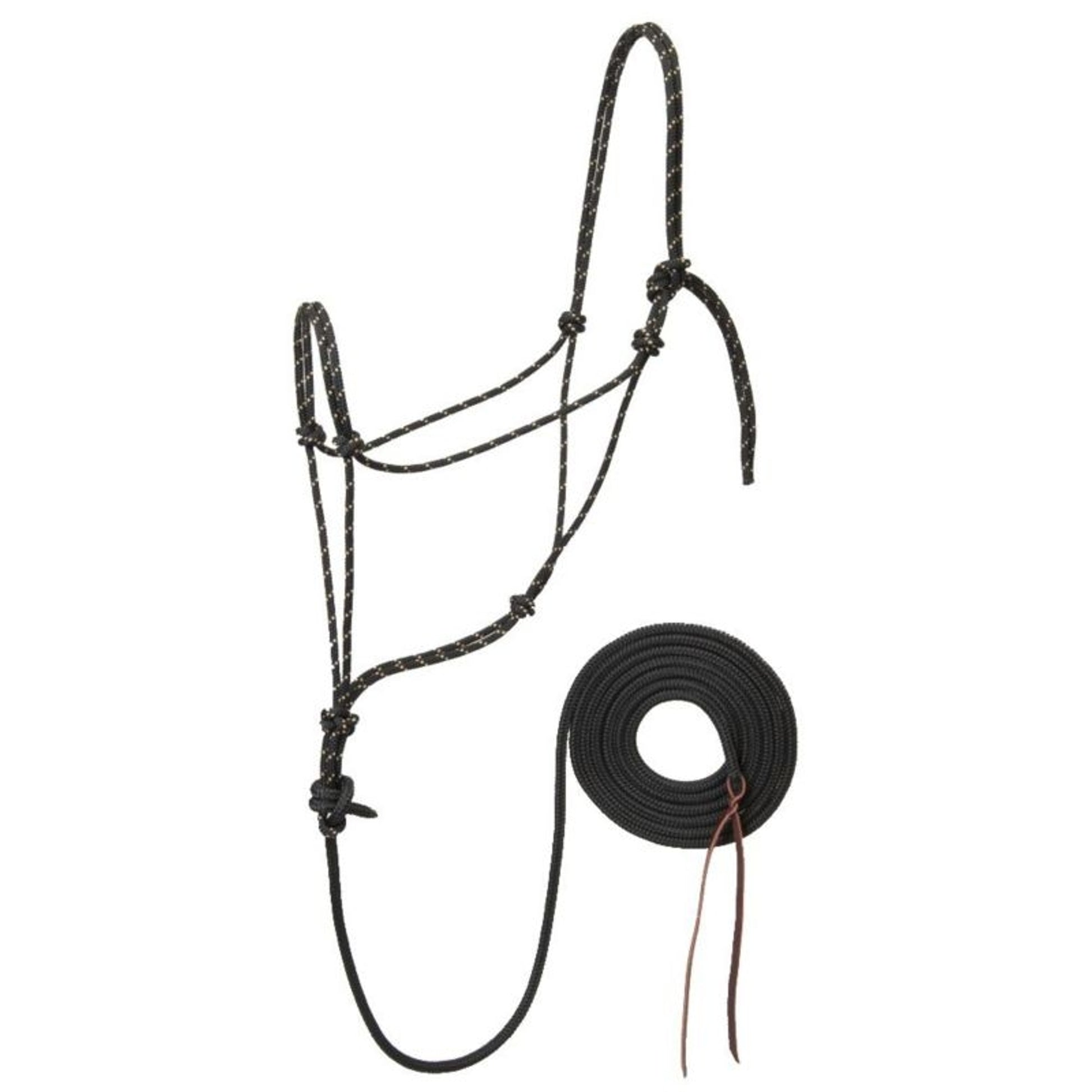 Weaver Trailblazer Halter with 12 Lead