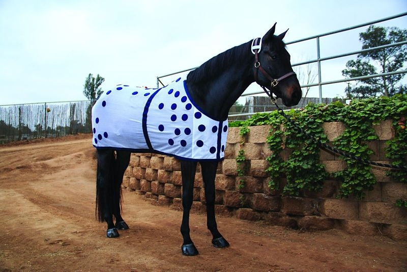 Professionals Choice Magnetic Blanket 70