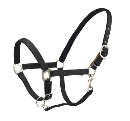 Centaur Solid Cushion Padded Breakaway Halter