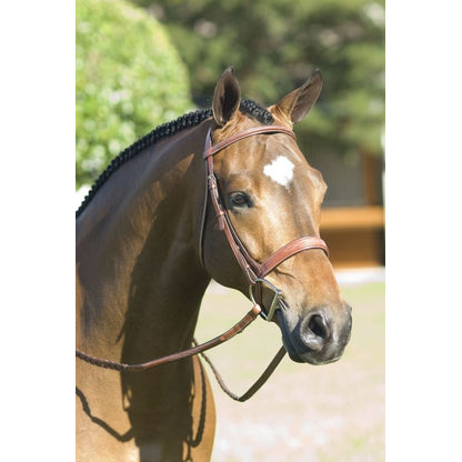 Rodrigo Pessoa Wide Noseband Show Bridle