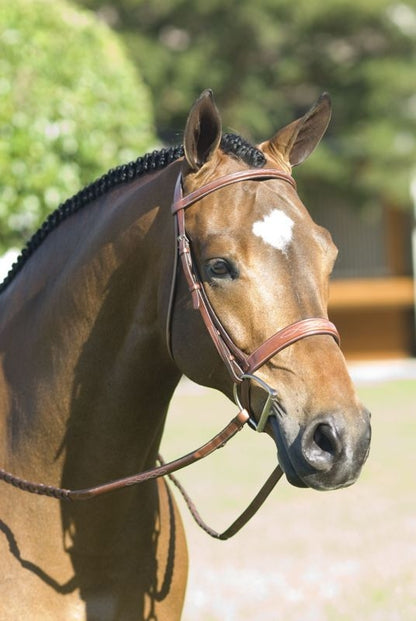 Rodrigo Pessoa Wide Noseband Show Bridle