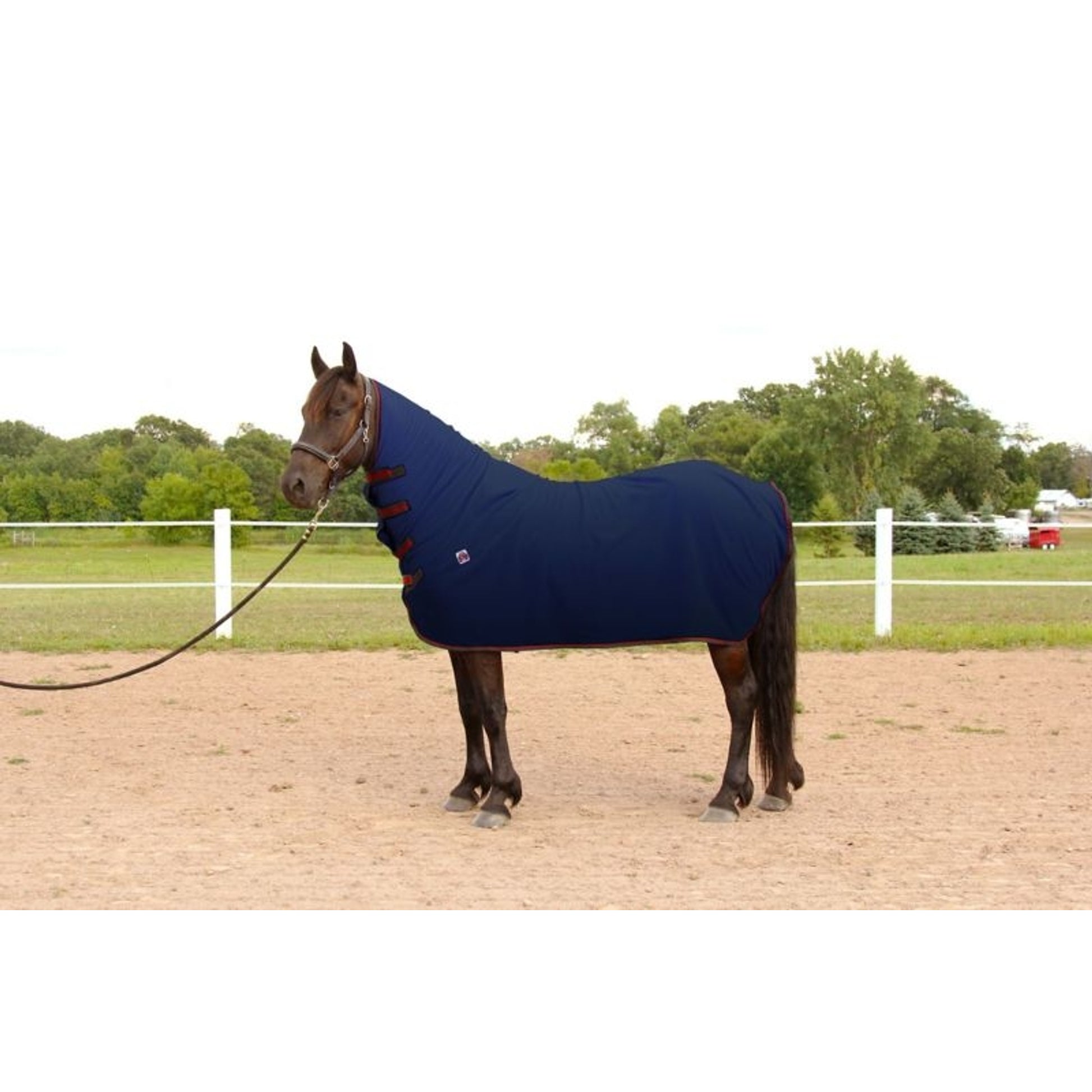 WikSmart Premium Cooler