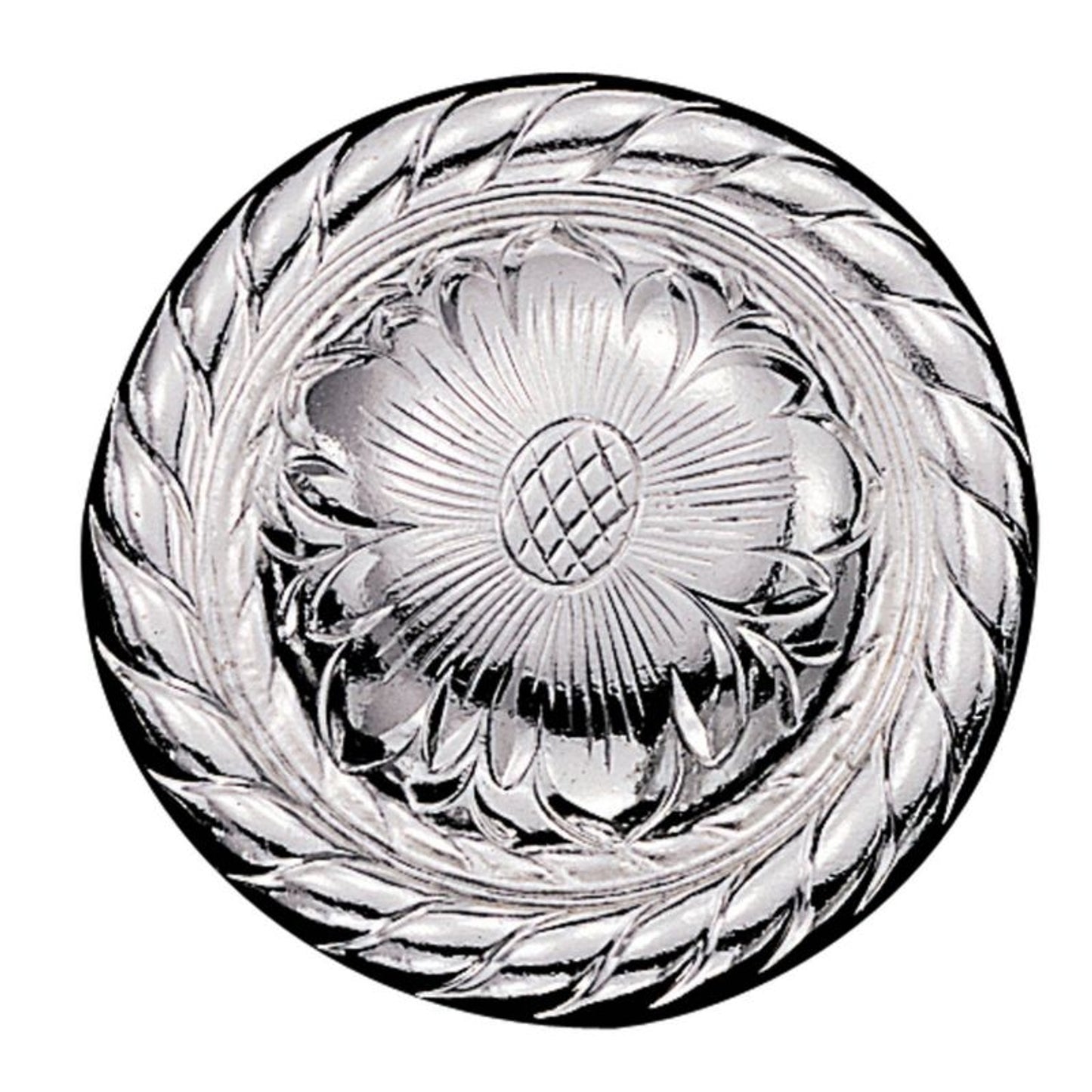 TH1104344.jpg