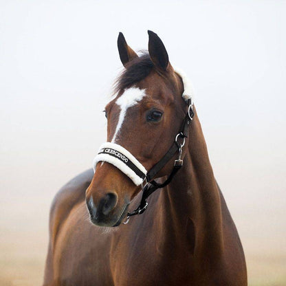Horze Howard Halter