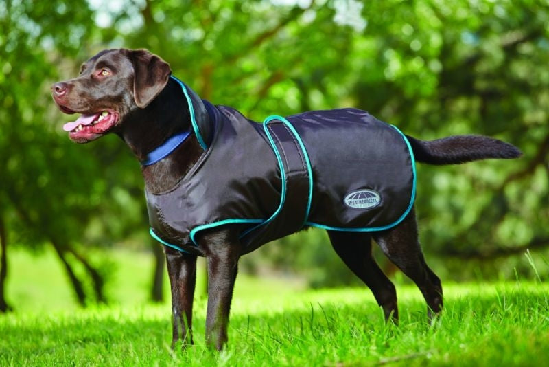 WB 420D Dog Windbreaker Fleece Led 12 Brown Aqua