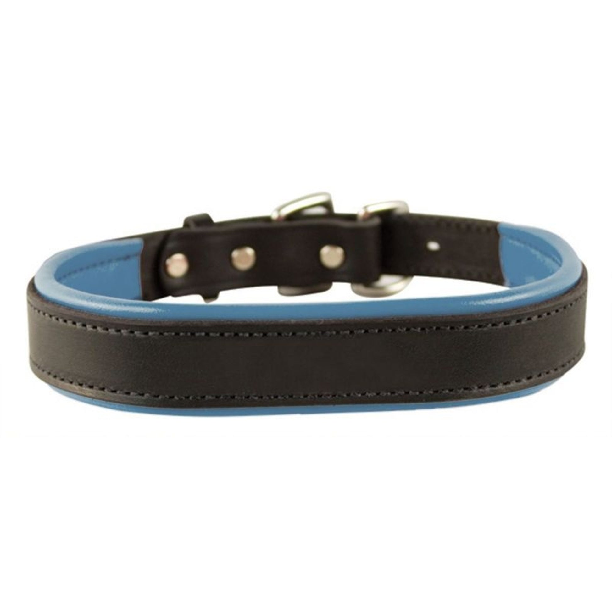 Perris Padded Leather Dog Collar