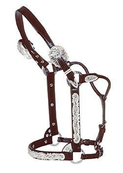 Circle Y Silver Berry Edge Show Halter Hrse Dk Oil