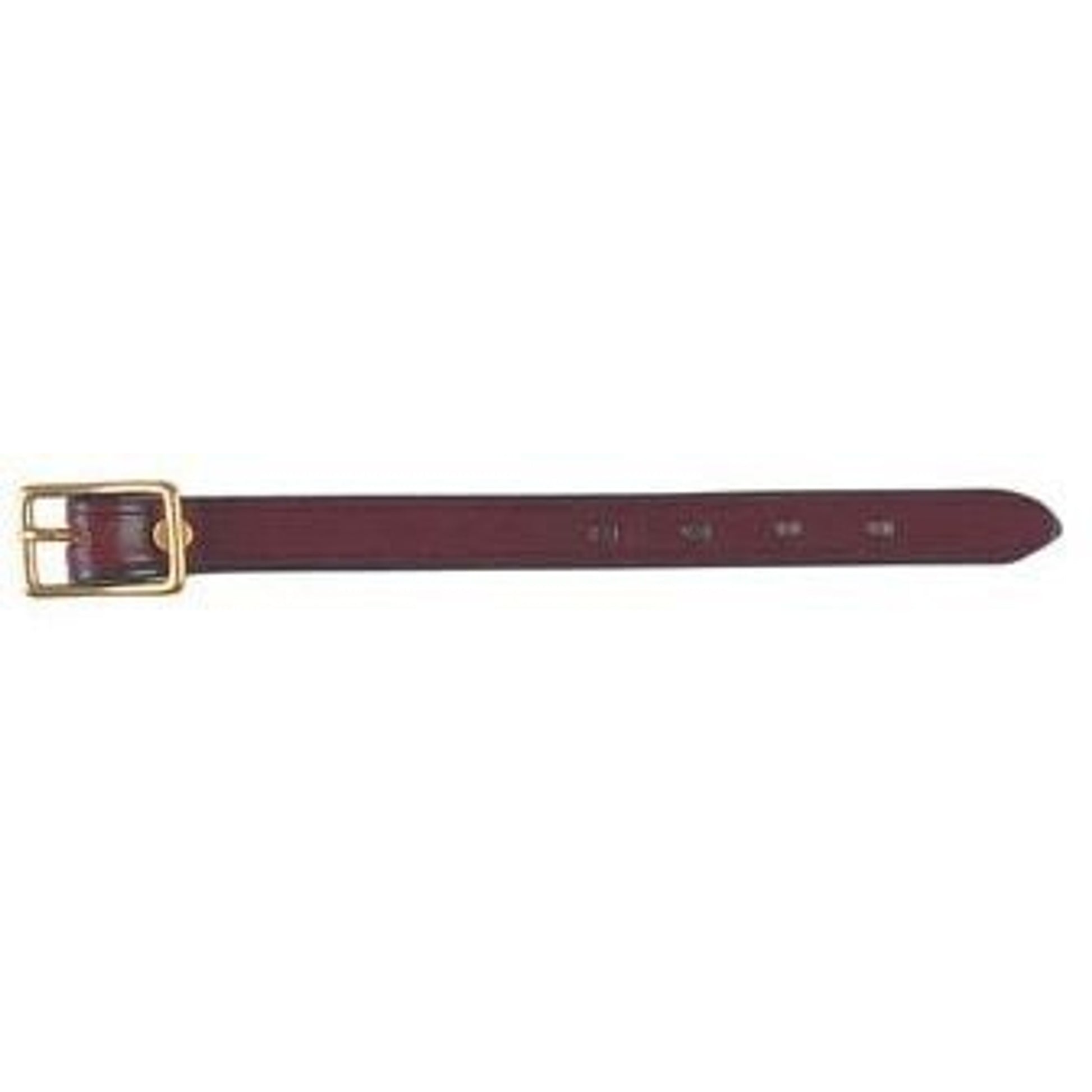 Tucker Trail Fender Hobble Straps Black Brass