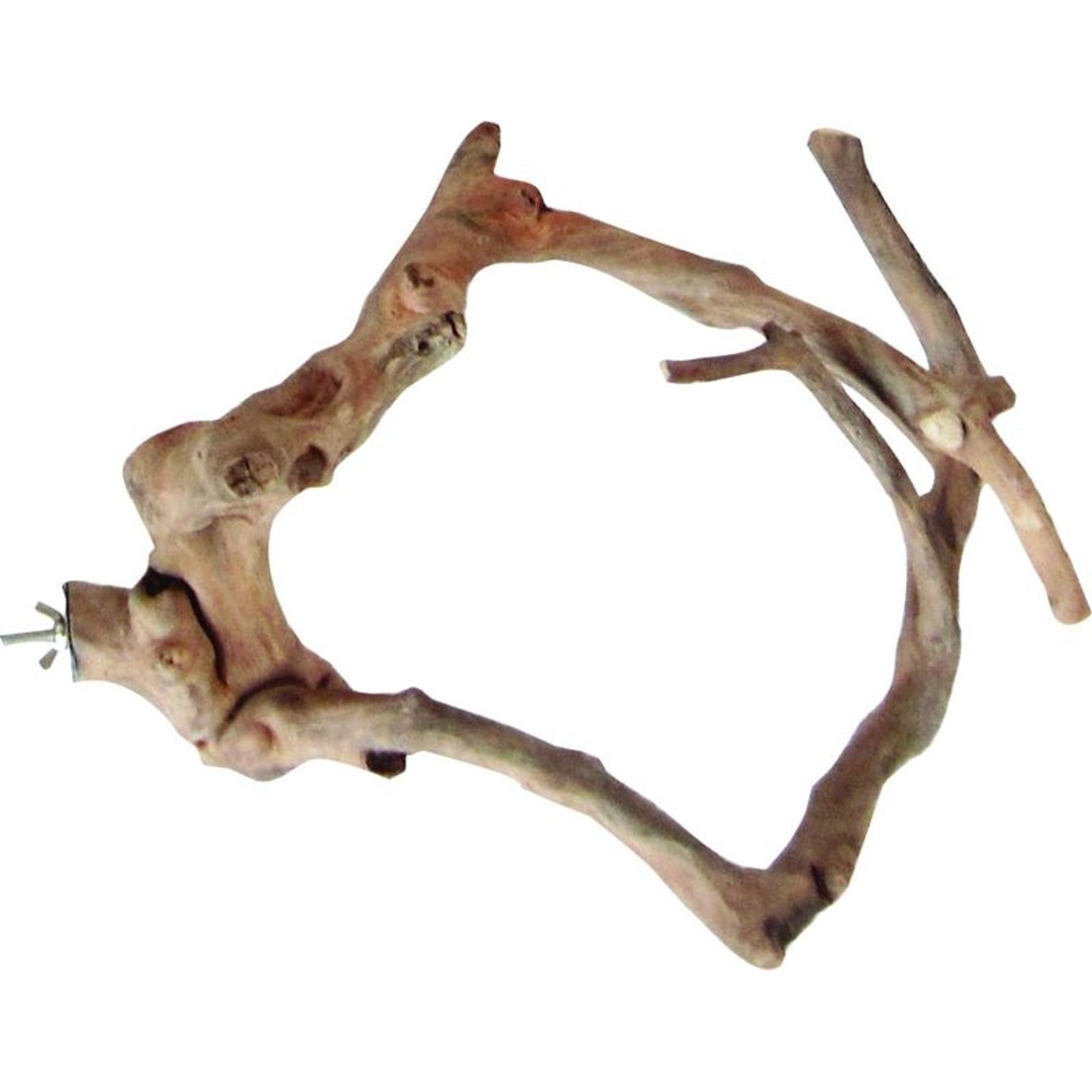 Java Wood Natural Multi Branch Bird Perch