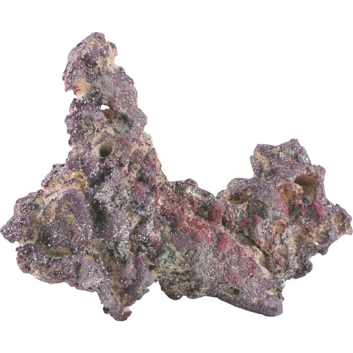 TH1322735.jpg