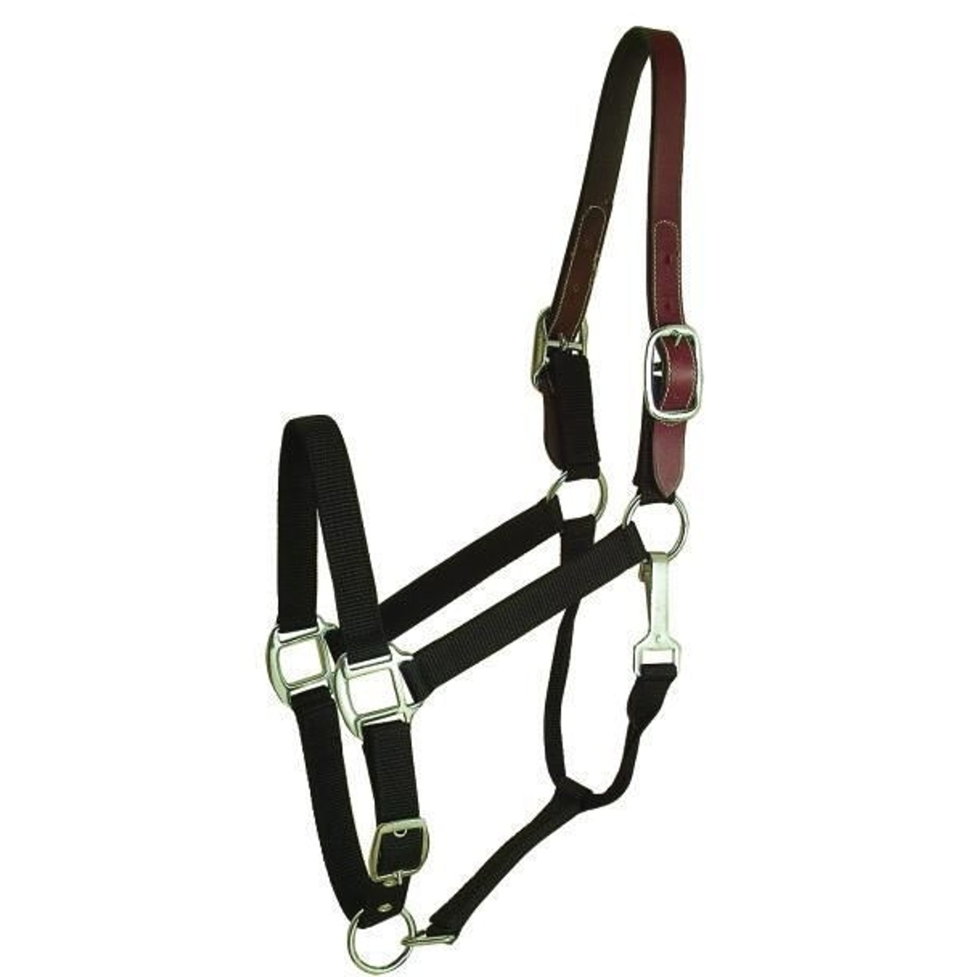 Gatsby Nylon Breakaway Halter 12Pc Cob/Hrs/Ovrsz