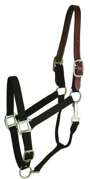Gatsby Nylon Breakaway Halter 12Pc Cob/Hrs/Ovrsz