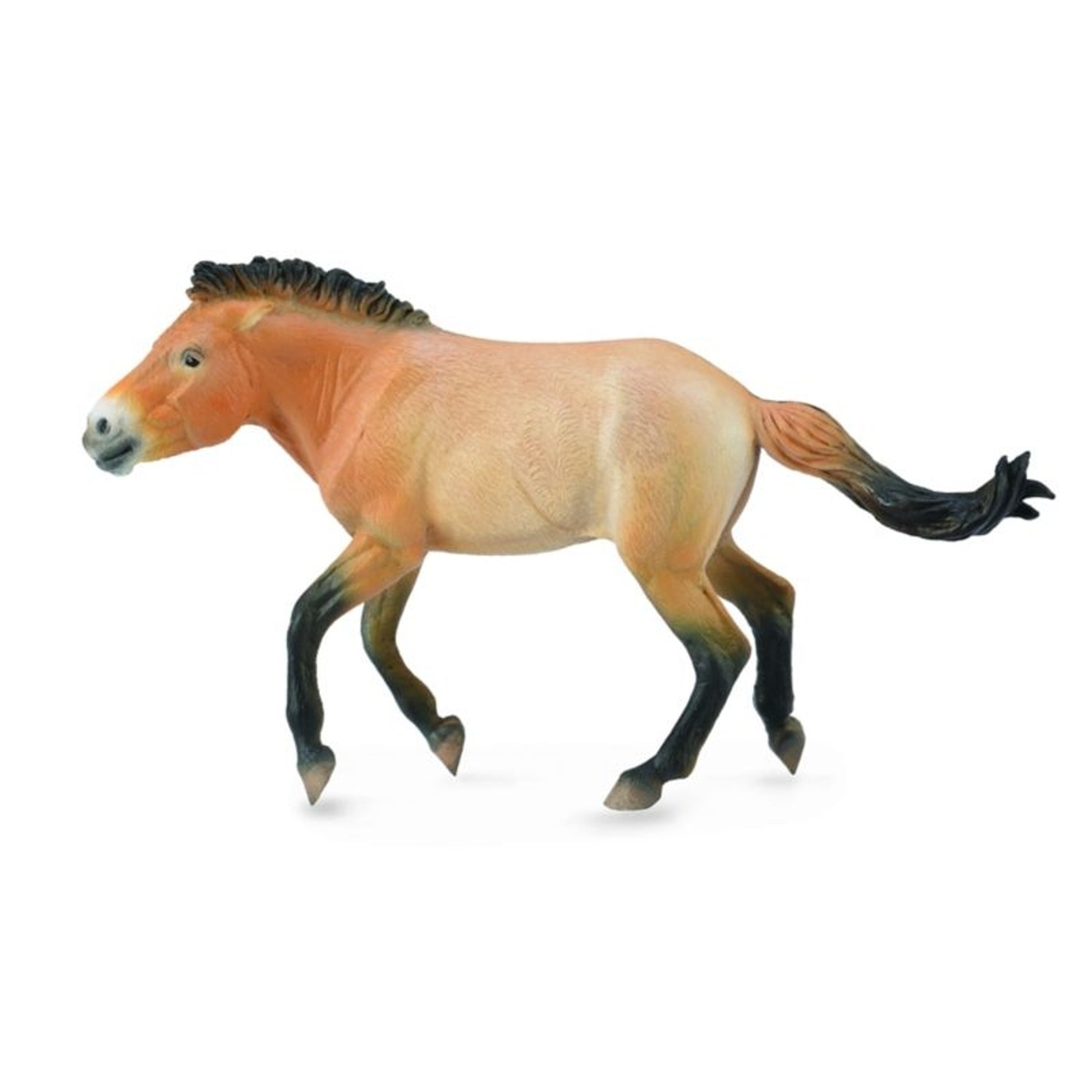 Breyer by CollectA Przewalski Stallion