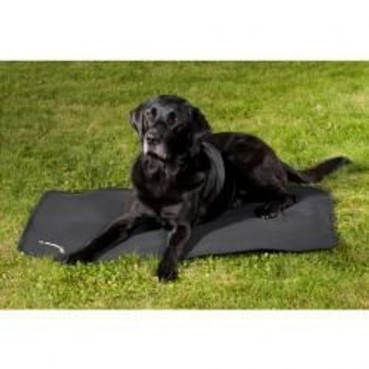 Back On Track Dog Crate Liner 21 3/4x15 55x38 Blk