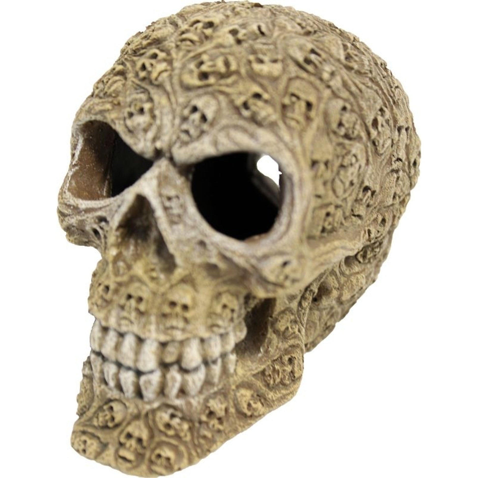 Exotic Environments Haunted Skull