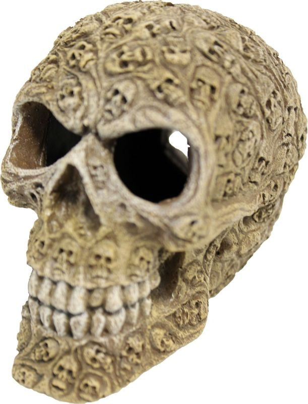 Exotic Environments Haunted Skull