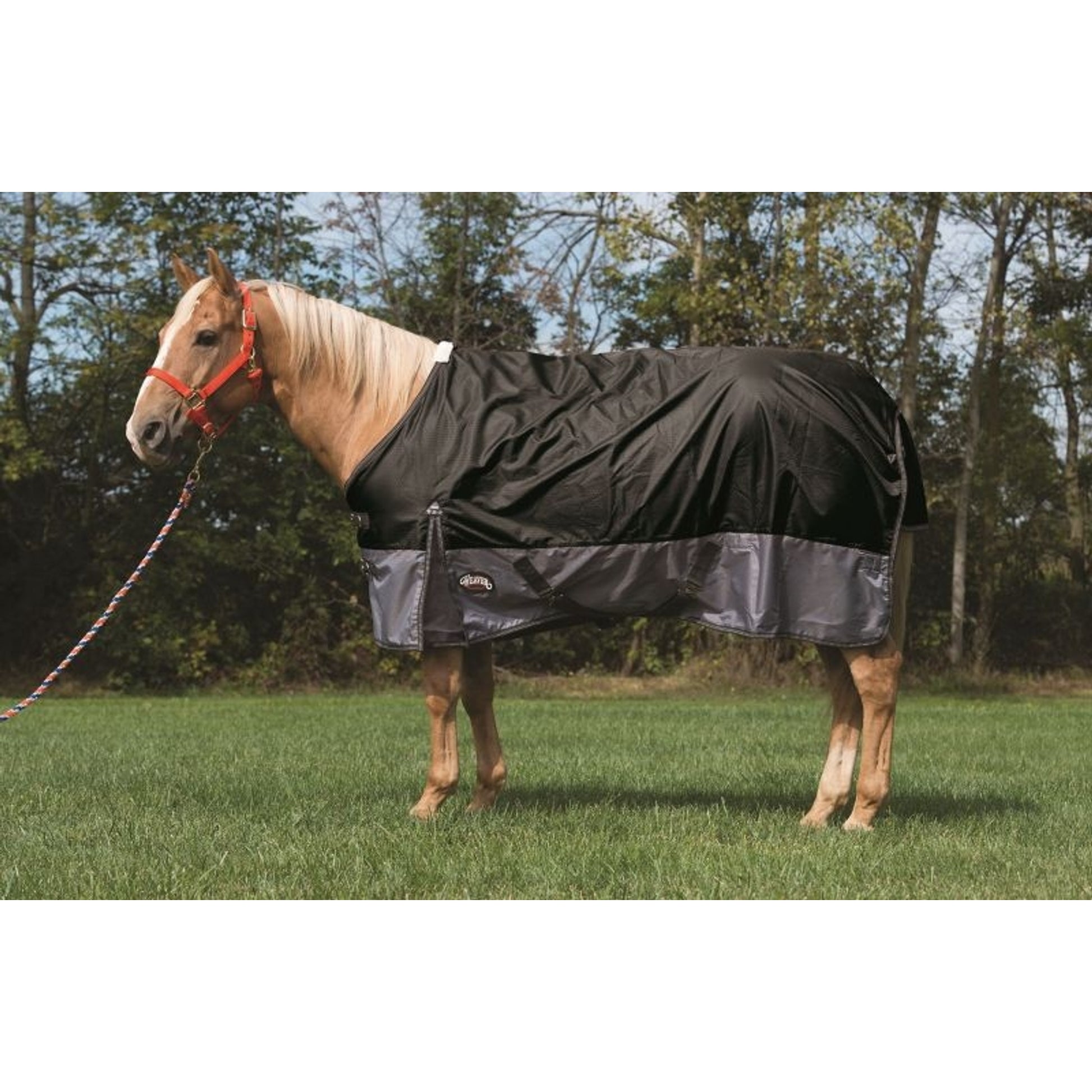 Weaver Premium 600 D Turnout 200 Gm