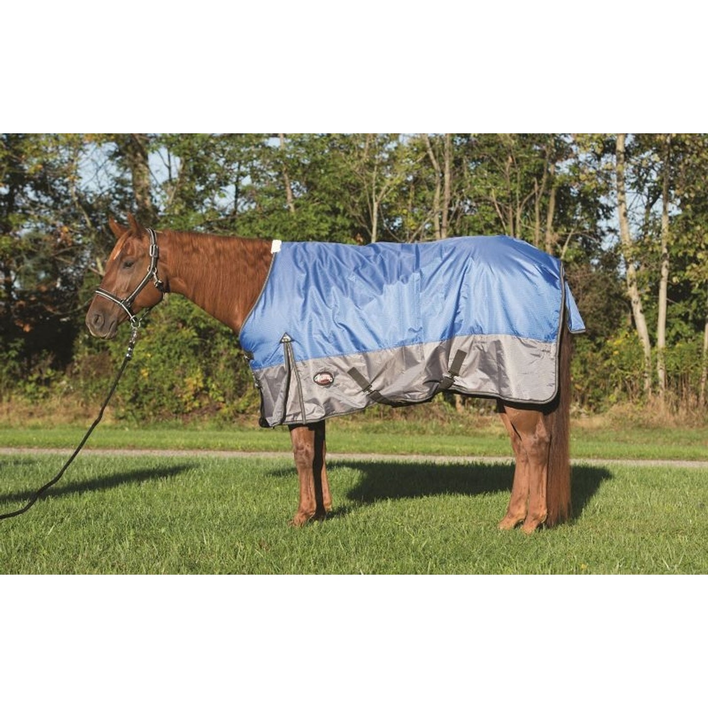TH1483169.jpg