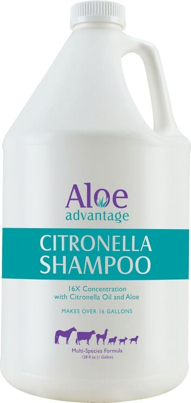 Citronella Shampoo 1 Gal