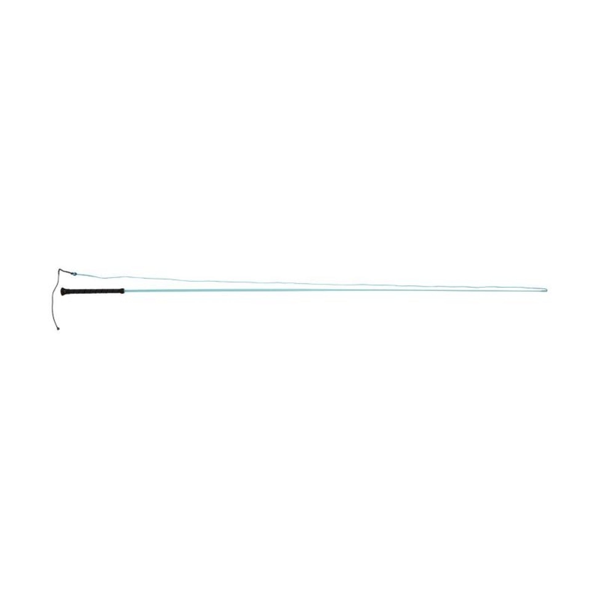 Dublin Brights Lunge Whip