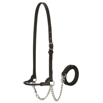 Weaver Dairy Halter