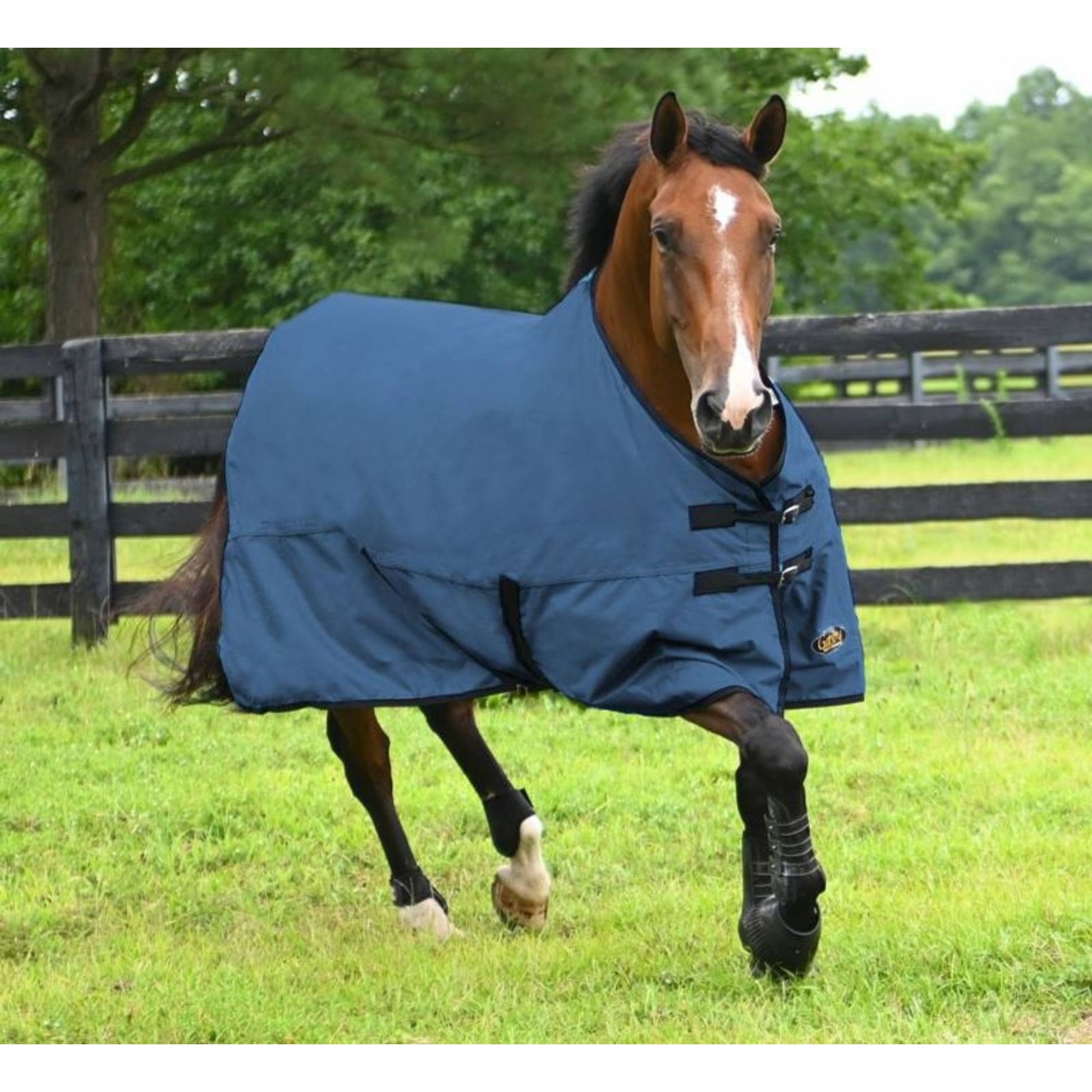 Gatsby Original Lite Waterproof Turnout Sheet 69"