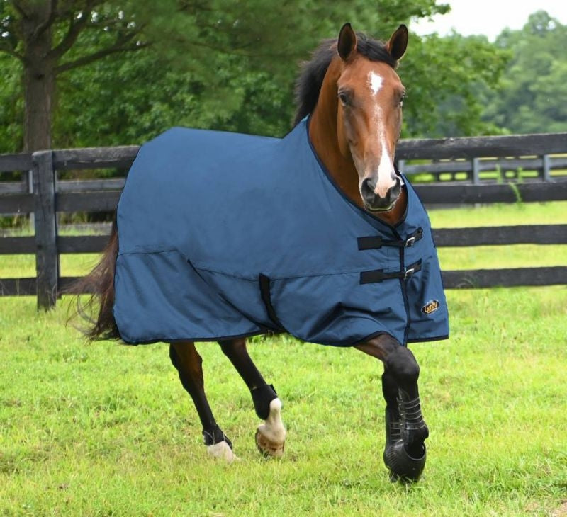 Gatsby Original Lite Waterproof Turnout Sheet 69"