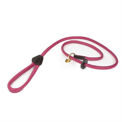 Digby and Fox Padded Leather Dog Lead